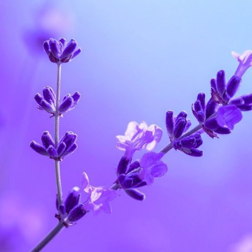 Arztpraxis Aschenbrenner: Dr. med. Katja Aschenbrenner