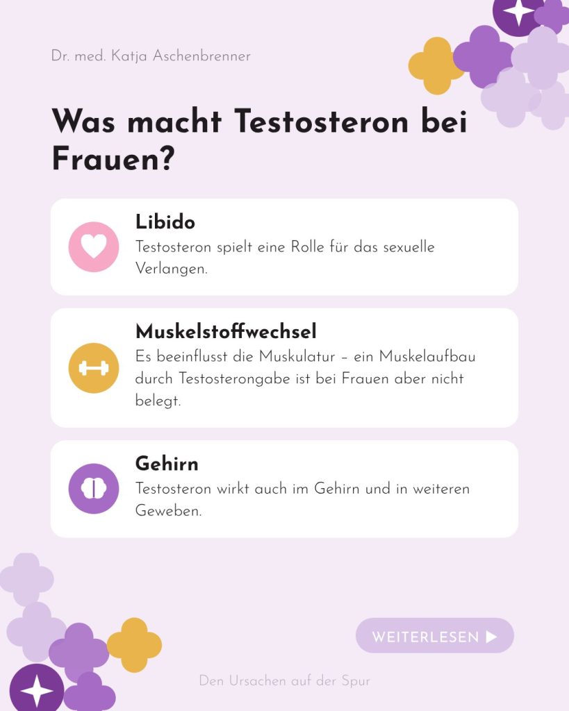 Was macht Testosteron bei Frauen? Libido, Muskelstoffwechsel, Gehirn
