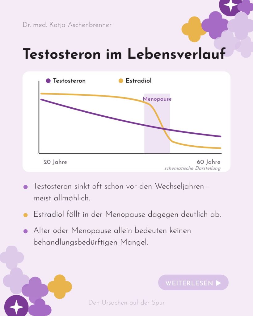 Testosteron und Estradiol im Lebensverlauf der Frau – schematische Darstellung