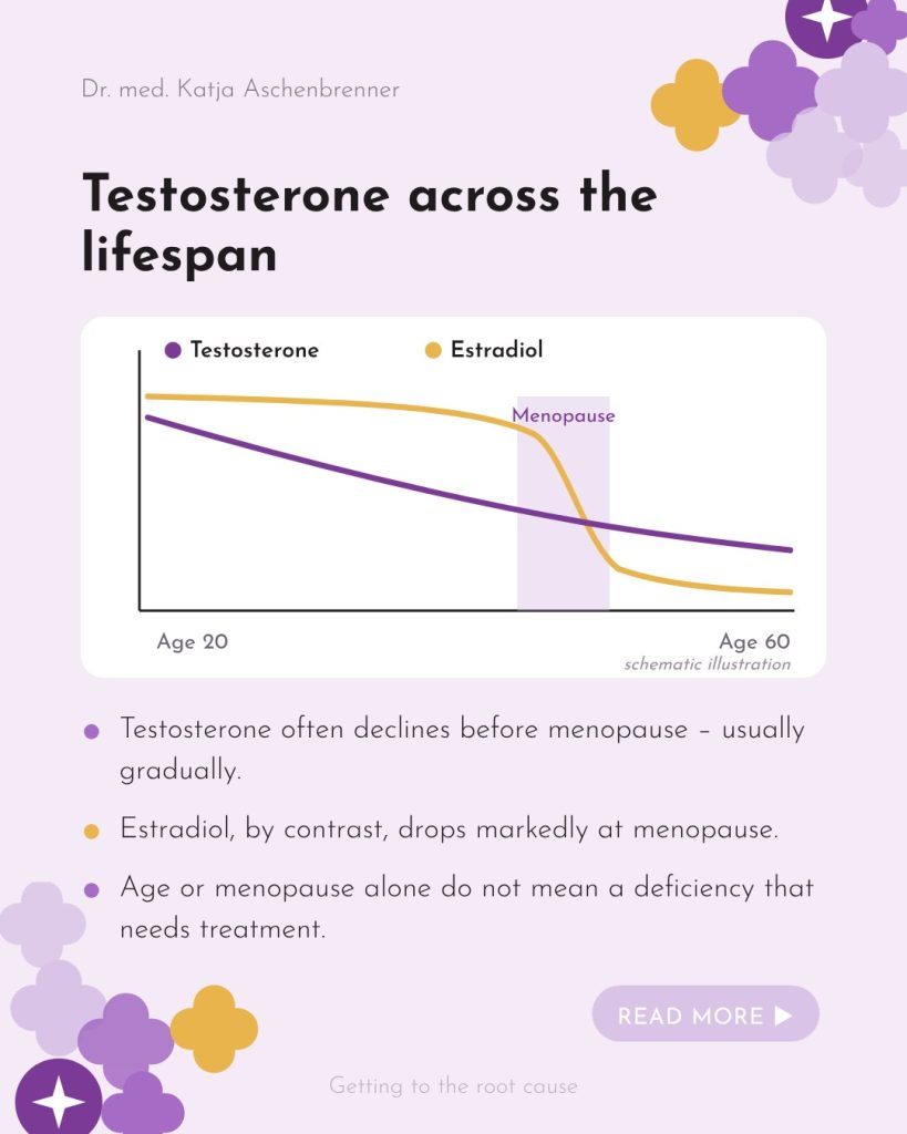 Testosterone and estradiol across a woman’s lifespan – schematic illustration
