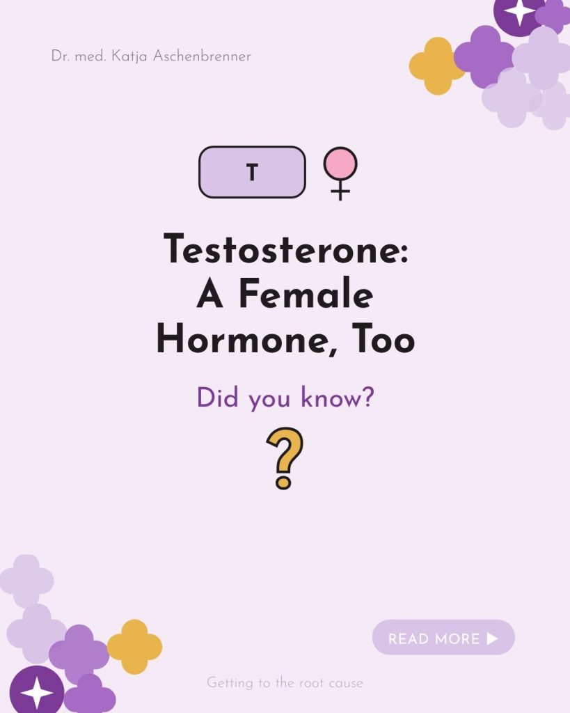 Testosterone – a female hormone, too