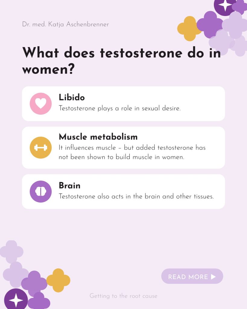 What does testosterone do in women? Libido, muscle metabolism, brain